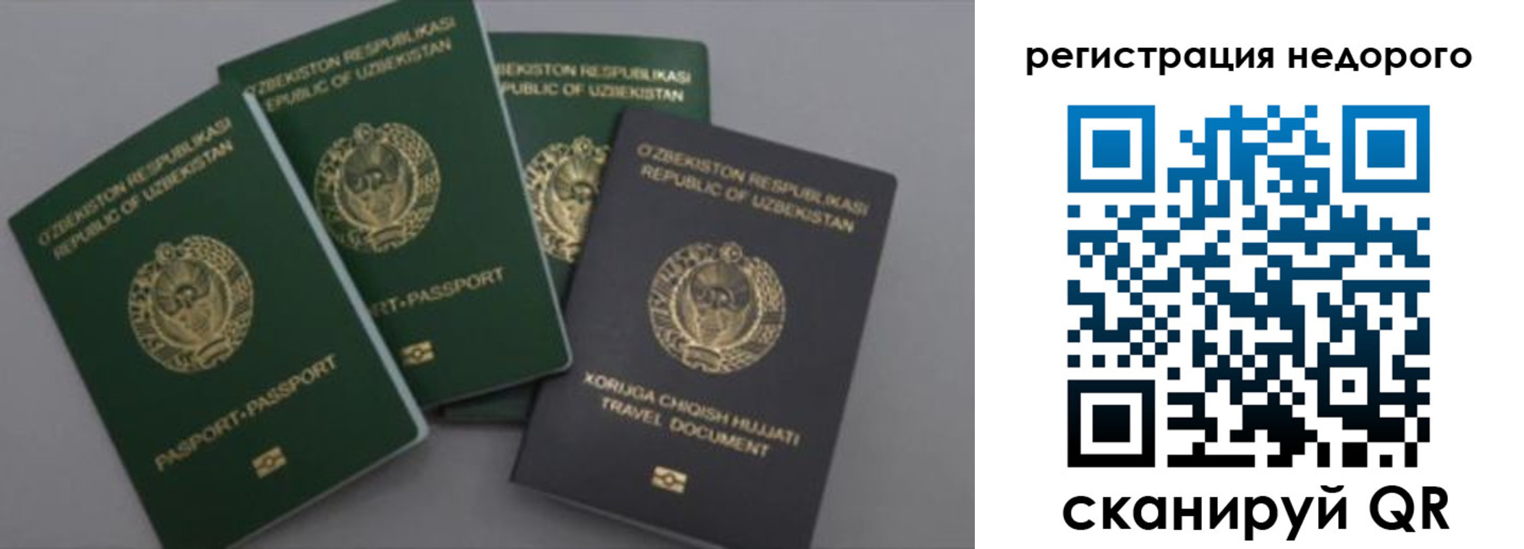 пропишу в квартире в Рубцовске